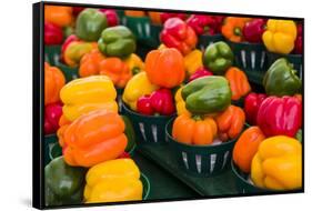 Canada, Ontario, Ottawa, Byward Market, peppers-Walter Bibikow-Framed Stretched Canvas