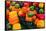 Canada, Ontario, Ottawa, Byward Market, peppers-Walter Bibikow-Framed Stretched Canvas