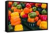 Canada, Ontario, Ottawa, Byward Market, peppers-Walter Bibikow-Framed Stretched Canvas