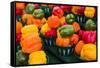 Canada, Ontario, Ottawa, Byward Market, peppers-Walter Bibikow-Framed Stretched Canvas