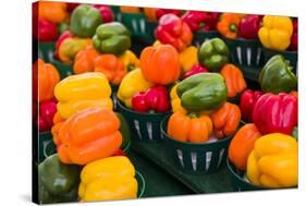 Canada, Ontario, Ottawa, Byward Market, peppers-Walter Bibikow-Stretched Canvas