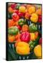 Canada, Ontario, Ottawa, Byward Market, peppers-Walter Bibikow-Framed Stretched Canvas