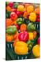 Canada, Ontario, Ottawa, Byward Market, peppers-Walter Bibikow-Stretched Canvas