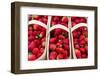 Canada, Ontario, Ottawa, Byward Market, strawberries-Walter Bibikow-Framed Photographic Print