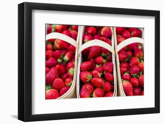Canada, Ontario, Ottawa, Byward Market, strawberries-Walter Bibikow-Framed Photographic Print