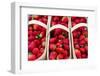 Canada, Ontario, Ottawa, Byward Market, strawberries-Walter Bibikow-Framed Photographic Print