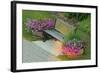 Canada, Ontario, Port Carling. Bench Flanked by Flower Pots-Jaynes Gallery-Framed Photographic Print