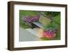 Canada, Ontario, Port Carling. Bench Flanked by Flower Pots-Jaynes Gallery-Framed Photographic Print