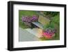 Canada, Ontario, Port Carling. Bench Flanked by Flower Pots-Jaynes Gallery-Framed Photographic Print