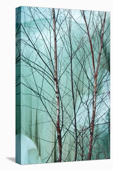 Canada, Ontario, Rabi Lake. White Birch in Front of Frozen Waterfall-Jaynes Gallery-Stretched Canvas