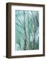 Canada, Ontario, Rabi Lake. White Birch in Front of Frozen Waterfall-Jaynes Gallery-Framed Photographic Print
