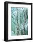 Canada, Ontario, Rabi Lake. White Birch in Front of Frozen Waterfall-Jaynes Gallery-Framed Photographic Print