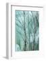 Canada, Ontario, Rabi Lake. White Birch in Front of Frozen Waterfall-Jaynes Gallery-Framed Photographic Print