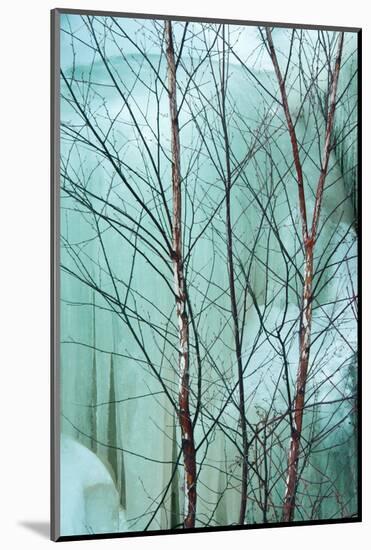 Canada, Ontario, Rabi Lake. White Birch in Front of Frozen Waterfall-Jaynes Gallery-Mounted Photographic Print