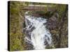 Canada, Ontario, Rainbow Falls Provincial Park, Rainbow Falls-Frank Zurey-Stretched Canvas