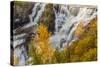 Canada, Ontario, Thunder Bay, Kakabeka Falls Park, Kakabeka Falls-Frank Zurey-Stretched Canvas