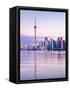 Canada, Ontario, Toronto, Cn Tower and Downtown Skyline-Alan Copson-Framed Stretched Canvas