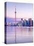 Canada, Ontario, Toronto, Cn Tower and Downtown Skyline-Alan Copson-Stretched Canvas