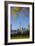 Canada, Ontario, Toronto, View of Cn Tower and City Skyline from Center Island-Jane Sweeney-Framed Photographic Print