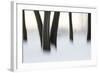 Canada, Ottawa, Ottawa River. Abstract of Tree Trunks in Snow-Bill Young-Framed Photographic Print