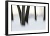 Canada, Ottawa, Ottawa River. Abstract of Tree Trunks in Snow-Bill Young-Framed Photographic Print