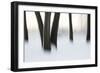 Canada, Ottawa, Ottawa River. Abstract of Tree Trunks in Snow-Bill Young-Framed Photographic Print