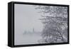 Canada, Ottawa, Ottawa River. Parliament Buildings Seen Through Fog-Bill Young-Framed Stretched Canvas