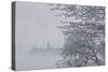 Canada, Ottawa, Ottawa River. Parliament Buildings Seen Through Fog-Bill Young-Stretched Canvas