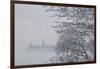 Canada, Ottawa, Ottawa River. Parliament Buildings Seen Through Fog-Bill Young-Framed Photographic Print