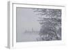 Canada, Ottawa, Ottawa River. Parliament Buildings Seen Through Fog-Bill Young-Framed Photographic Print