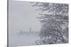 Canada, Ottawa, Ottawa River. Parliament Buildings Seen Through Fog-Bill Young-Stretched Canvas