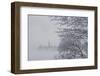 Canada, Ottawa, Ottawa River. Parliament Buildings Seen Through Fog-Bill Young-Framed Photographic Print