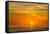 Canada, Pacific Rim National Park Reserve, Sunset from Tsusiat Falls Beach Camp-Jamie And Judy Wild-Framed Stretched Canvas