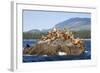 Canada, Pacific Rim National Park Reserve, West Coast Trail, Steller Sea Lions-Jamie And Judy Wild-Framed Photographic Print