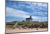 Canada, Prince Edward Island. Cousin's Shore Beach, lighthouse-Michele Molinari-Mounted Photographic Print