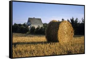 Canada, Prince Edward Island, Hay Harvest Near Cavendish-Ann Collins-Framed Stretched Canvas