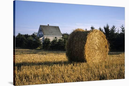 Canada, Prince Edward Island, Hay Harvest Near Cavendish-Ann Collins-Stretched Canvas