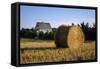 Canada, Prince Edward Island, Hay Harvest Near Cavendish-Ann Collins-Framed Stretched Canvas