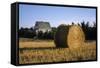 Canada, Prince Edward Island, Hay Harvest Near Cavendish-Ann Collins-Framed Stretched Canvas
