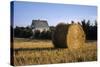 Canada, Prince Edward Island, Hay Harvest Near Cavendish-Ann Collins-Stretched Canvas