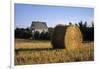 Canada, Prince Edward Island, Hay Harvest Near Cavendish-Ann Collins-Framed Premium Photographic Print