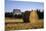 Canada, Prince Edward Island, Hay Harvest Near Cavendish-Ann Collins-Mounted Premium Photographic Print