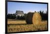 Canada, Prince Edward Island, Hay Harvest Near Cavendish-Ann Collins-Framed Premium Photographic Print