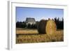 Canada, Prince Edward Island, Hay Harvest Near Cavendish-Ann Collins-Framed Photographic Print