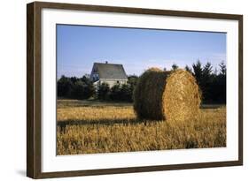 Canada, Prince Edward Island, Hay Harvest Near Cavendish-Ann Collins-Framed Photographic Print