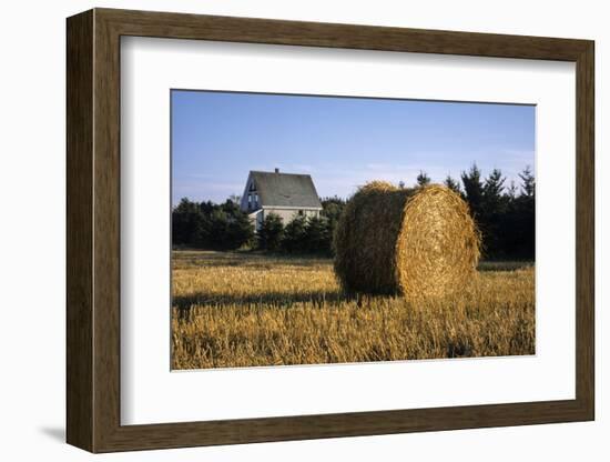 Canada, Prince Edward Island, Hay Harvest Near Cavendish-Ann Collins-Framed Photographic Print