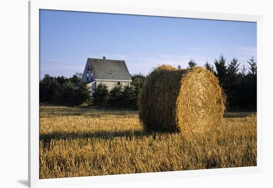 Canada, Prince Edward Island, Hay Harvest Near Cavendish-Ann Collins-Framed Photographic Print