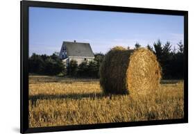 Canada, Prince Edward Island, Hay Harvest Near Cavendish-Ann Collins-Framed Photographic Print