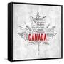 Canada Provinces-OnRei-Framed Stretched Canvas