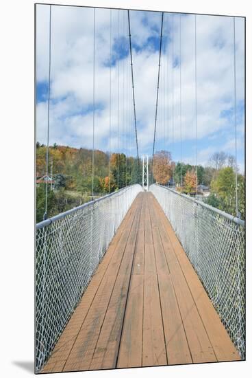 Canada, Quebec, Coaticook, Parc De La Gorge, Suspension Bridge-Rob Tilley-Mounted Premium Photographic Print